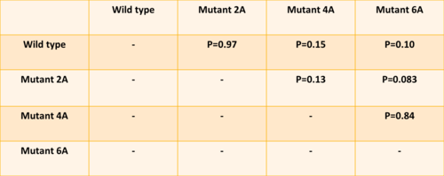 T-tests: comparaison de la quantité de Pom1 à la membrane
