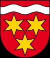 logo de l'entité Birsfelden