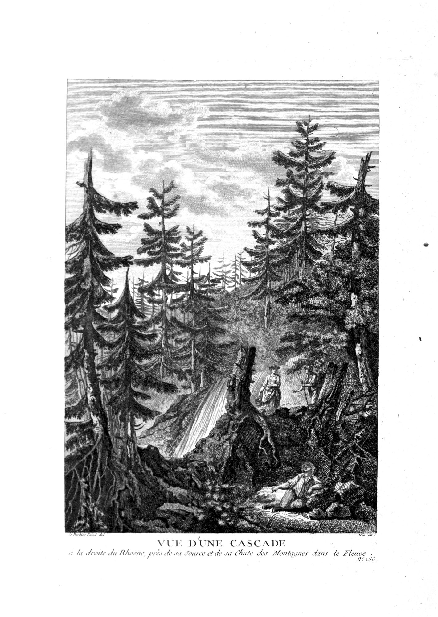 Vue d'une cascade à la droite du Rhosne, près de sa Source et de sa Chute des Montagnes dans le Fleuve