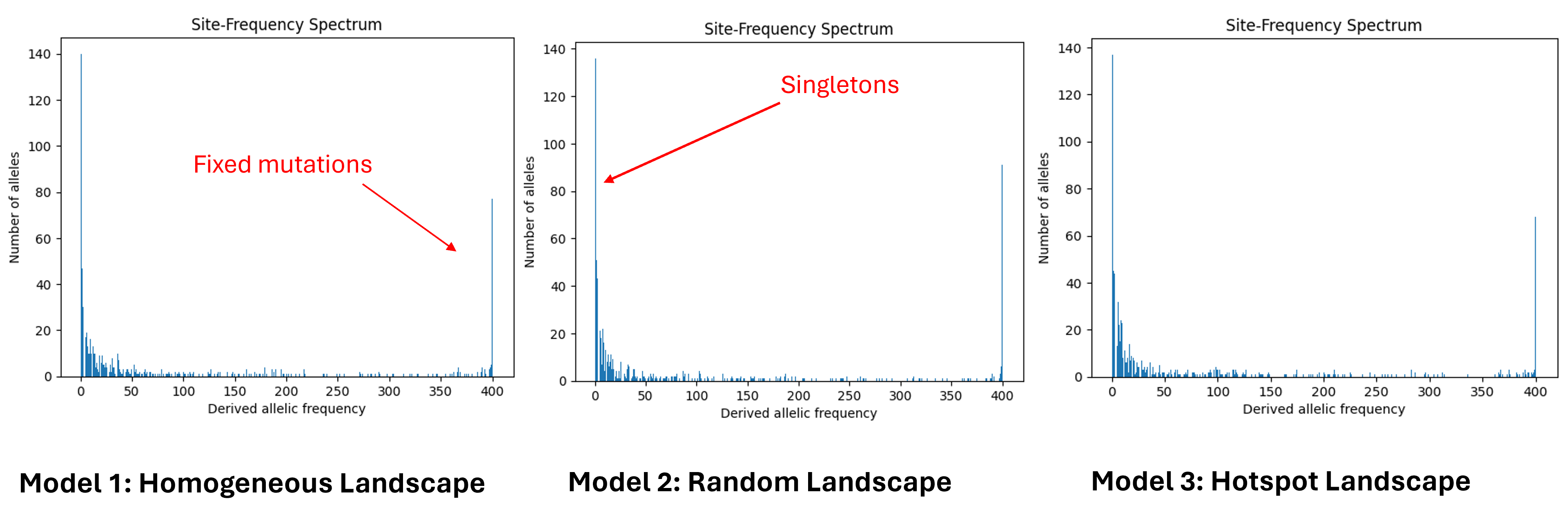 Site Frequency Spectrum (SFS)