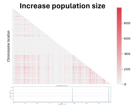 Increase population size