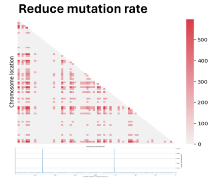 Reduce mutation rate
