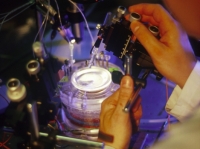 Microscope électronique, Laboratoire d\'analyse ultrastructurale (Silvano Prada © UNIL Archives)