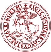 logo de l'entité Università degli Studi di Torino