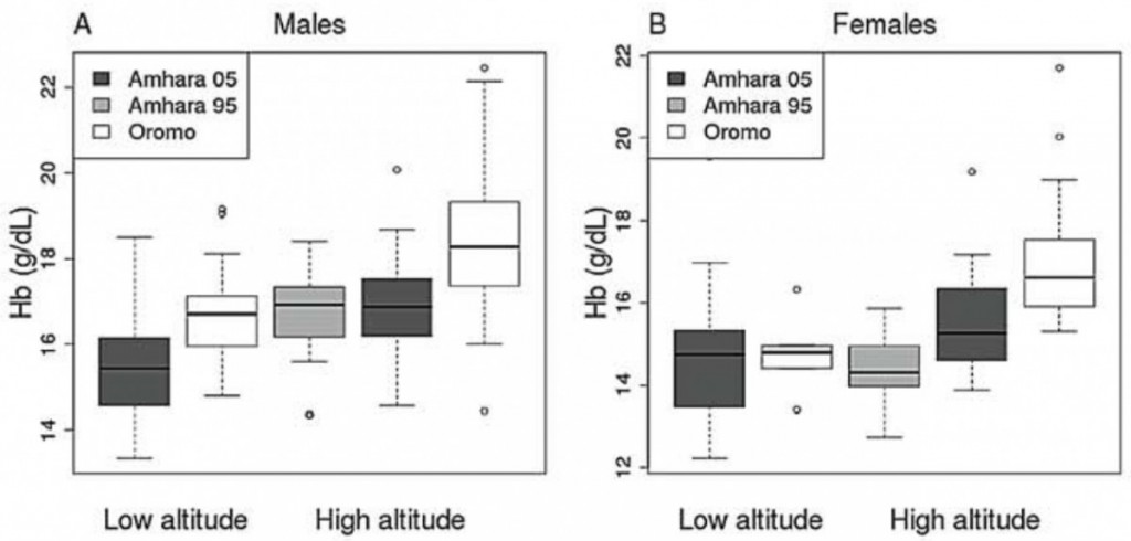Box plots describe variation in the Amhara 05 (dark grey boxes), Amhara 95 (grey boxes) and Oromo (white boxes) for Hb concentration (g/dL) among males (A) and females (B).