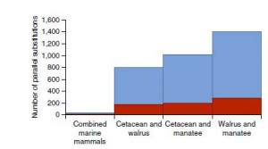 Figure 2: Genome scans for convergence. Marine mammal genomes showed a large number of parallel substitutions (blue) that occurred along the branches of at least two marine mammal lineages since they evolved from a terrestrial ancestor. Parallel substitutions that occurred in positively selected genes are shaded red.