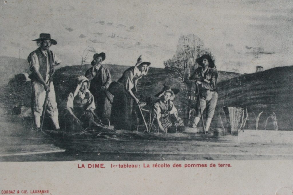 La Dîme, la récolte, 1908, carte postale, collection privée