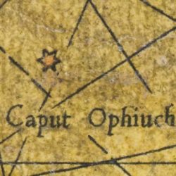 Caput Ophiuchi