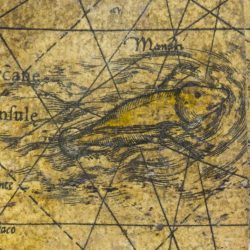 Dans l’Atlantique Nord, on trouve un lamantin, copie d’une des créatures du livre d’Oviedo.