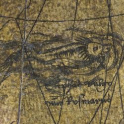 Le morse dessiné dans le nord-ouest du Pacifique est inspiré d’une image d’Olaus Magnus. Néanmoins Mercator l'a placé dans les eaux, tandis que la Carta Marina le représente sur la terre ferme, doté de quatre pattes. Ces représentations de « morse » sont cependant encore très éloignées de la réalité alors que quelques années plus tard celles d’Ortelius (1587) et surtout de Hondius (1595) seront beaucoup plus réalistes.