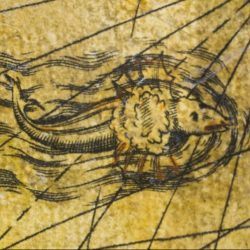 Un poisson volant parcourt le Pacifique Sud. Olaus Magnus, source d'inspiration de Mercator pour ce dessin, plaçait l'animal au-dessus du Prister et de l’île de Tile.